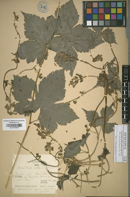 LE 01015307