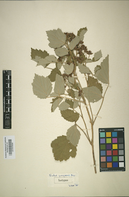 LE 01015320