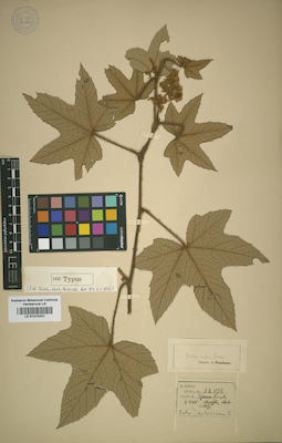 LE 01015321