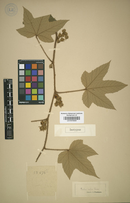 LE 01015324