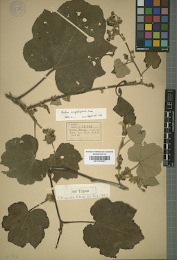 LE 01015327