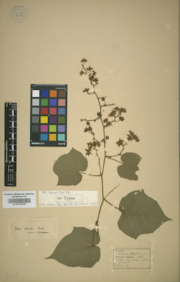 LE 01015343
