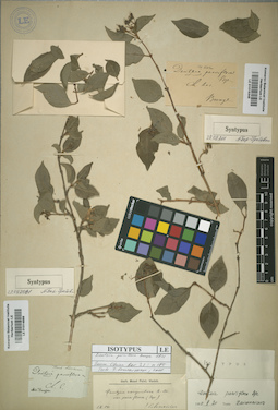 LE 01015348