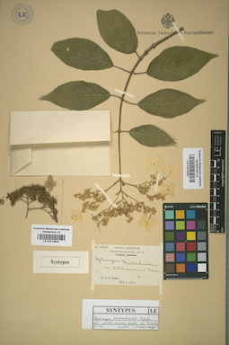LE 01015350