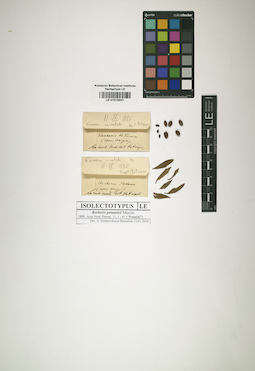 LE 01015501