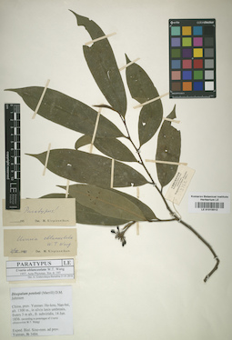 LE 01015512