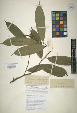 LE 01015513
