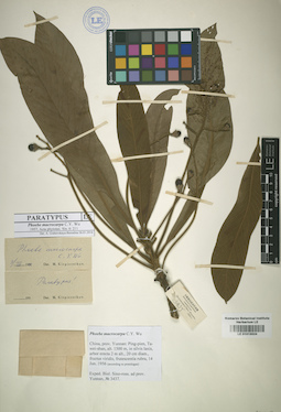 LE 01015524