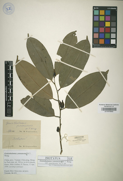 LE 01015532