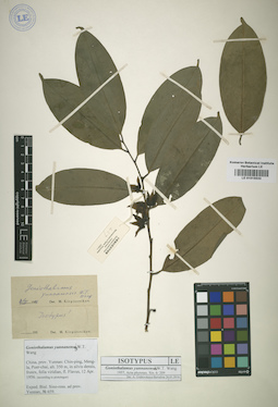LE 01015533