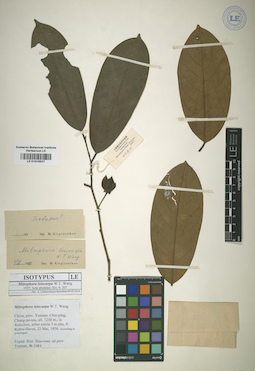 LE 01015537