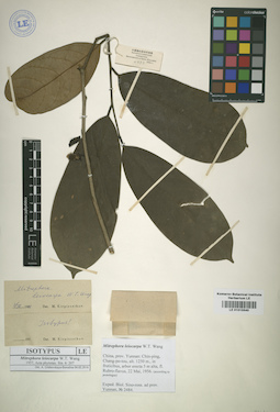 LE 01015540