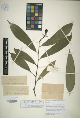 LE 01015542