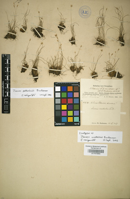 LE 01015553