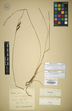 LE 01015562