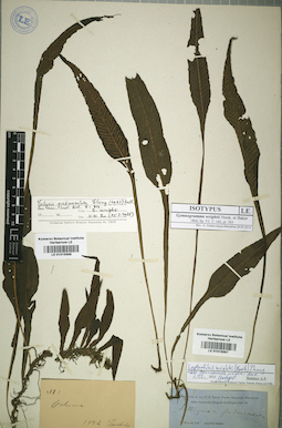 LE 01015567