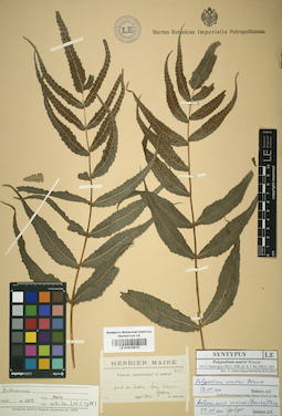 LE 01015572