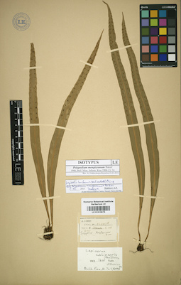 LE 01015573