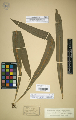 LE 01015574