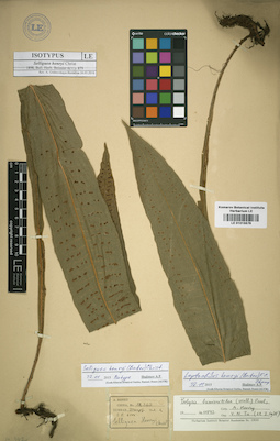 LE 01015576