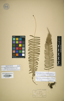 LE 01015577