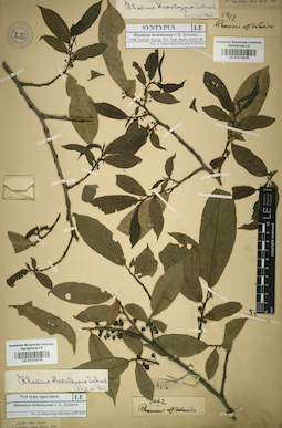 LE 01015578