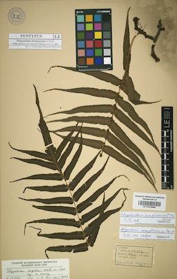 LE 01015580