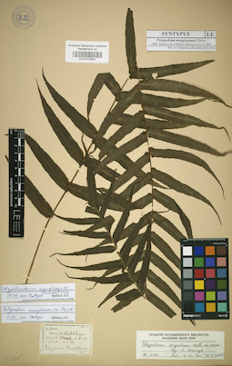 LE 01015581