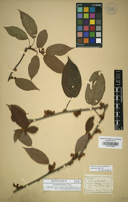 LE 01015587