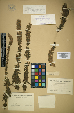LE 01015589