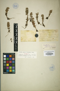 LE 01015590