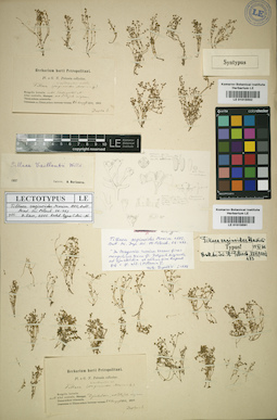 LE 01015592