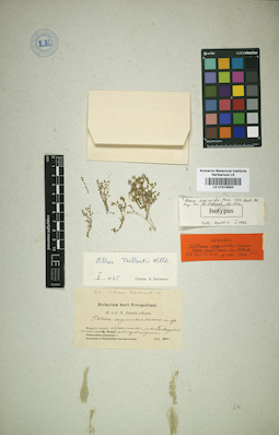 LE 01015593
