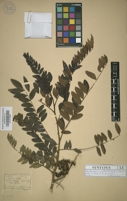 LE 01015601