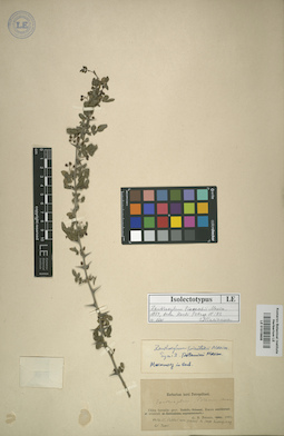 LE 01015608