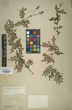 LE 01015609