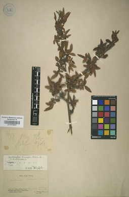 LE 01015610