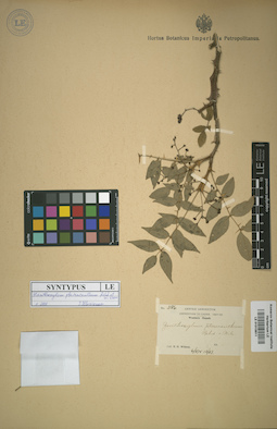 LE 01015611