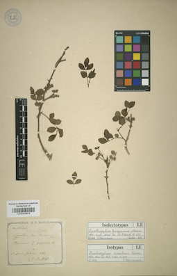 LE 01015612