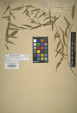 LE 01015613