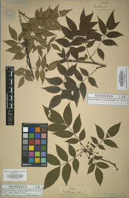 LE 01015616