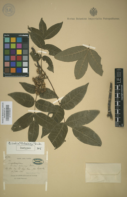 LE 01015618