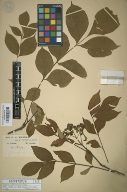LE 01015622