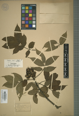 LE 01015625