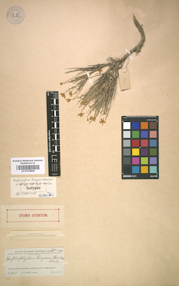 LE 01015628