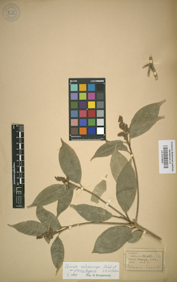 LE 01015633