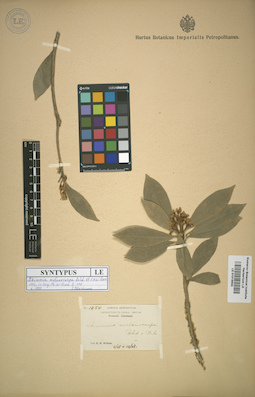 LE 01015634