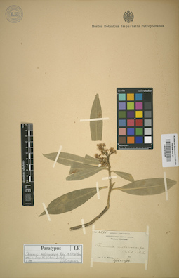 LE 01015635