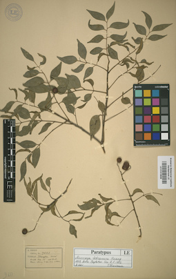 LE 01015636