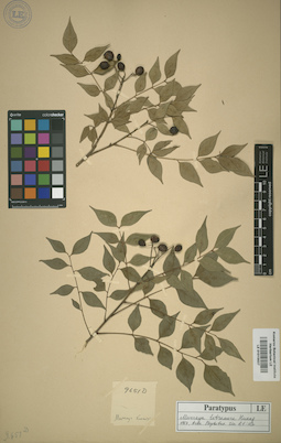LE 01015637